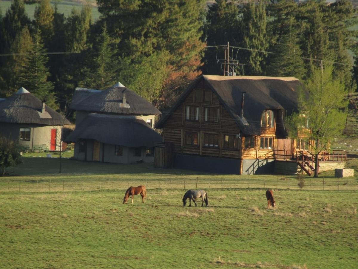 Khotso Lodge & Horse Trails Underberg Exterior foto