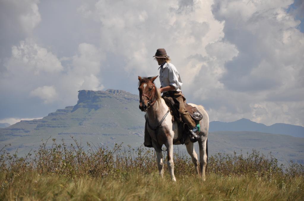 Khotso Lodge & Horse Trails Underberg Exterior foto