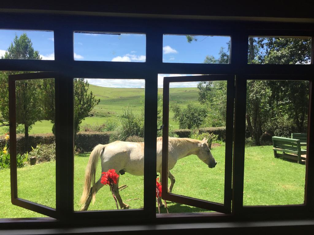 Khotso Lodge & Horse Trails Underberg Exterior foto